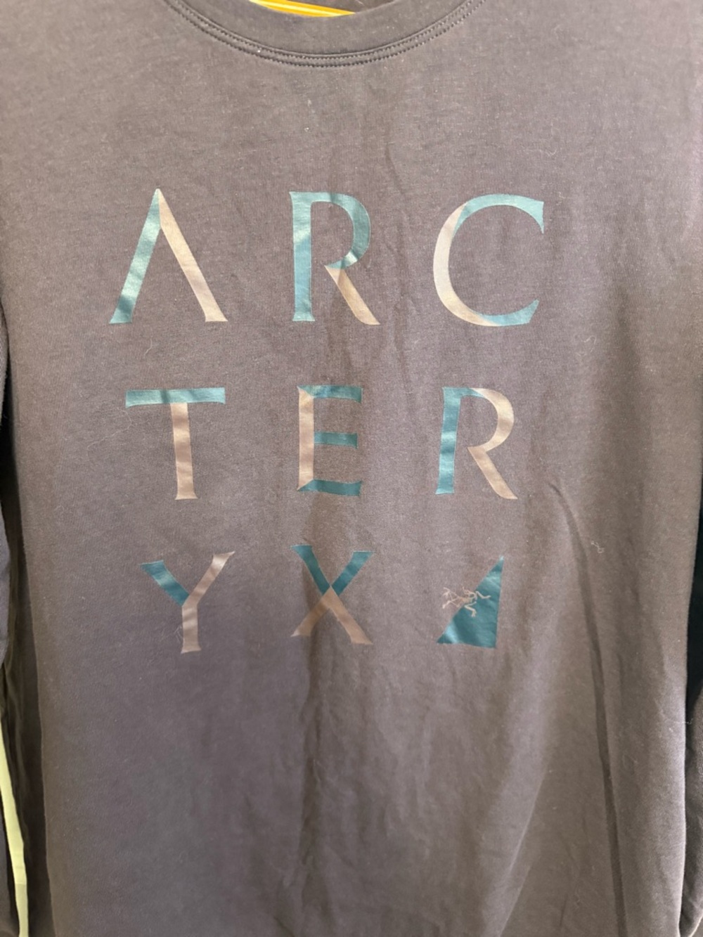 Arc'teryx Women's Long Sleeve Logo Tee — Deep Plum in size M - Picture 3 of 6